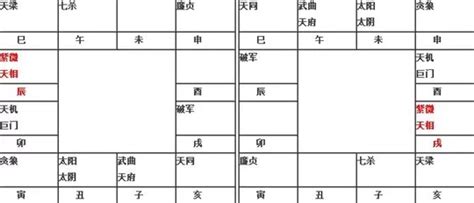 天羅地網格局|紫微命盤解析——紫微、天相在辰、戌